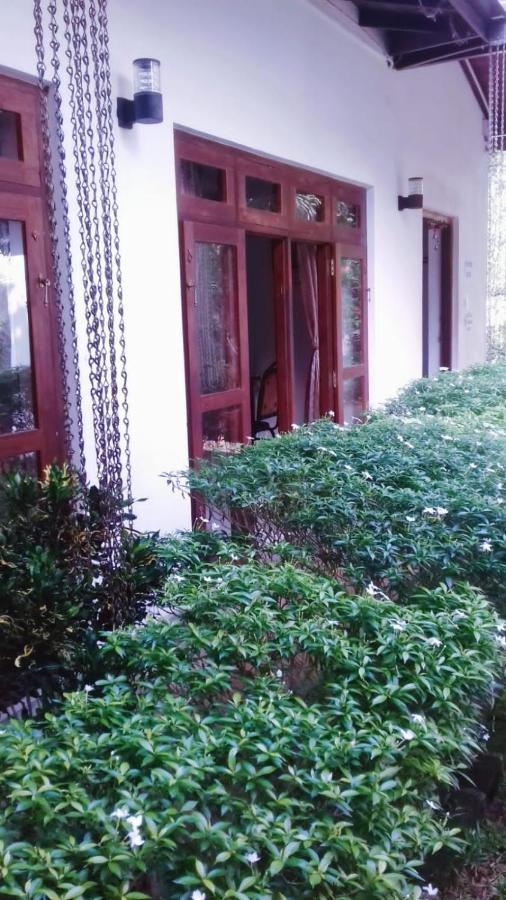 Delorenta Hotel 3*